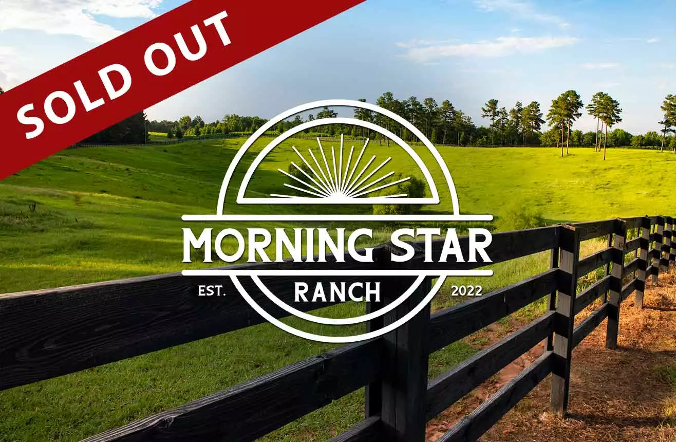 Sold Out Morning Star Ranch