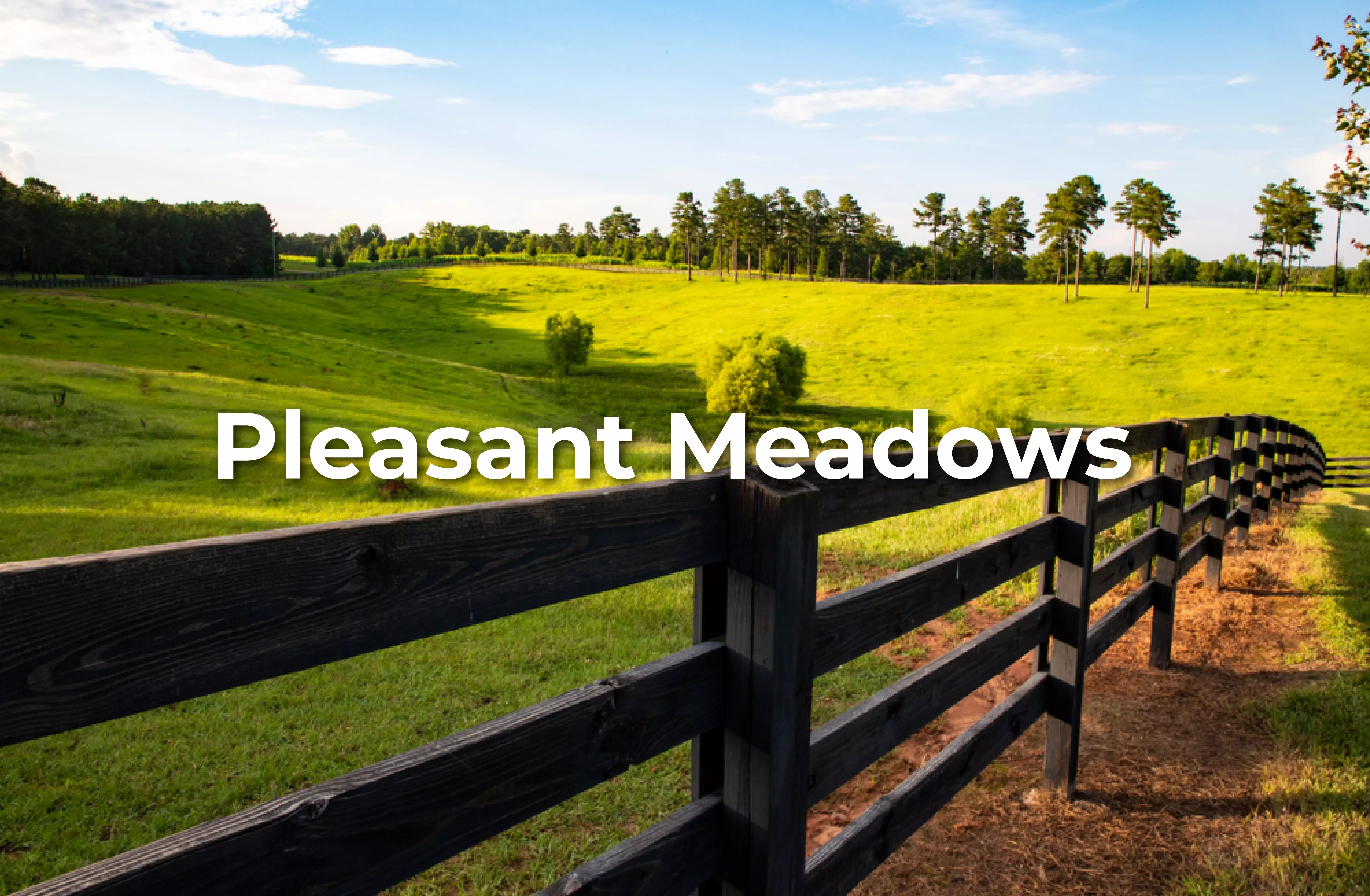 pleasant_meadows