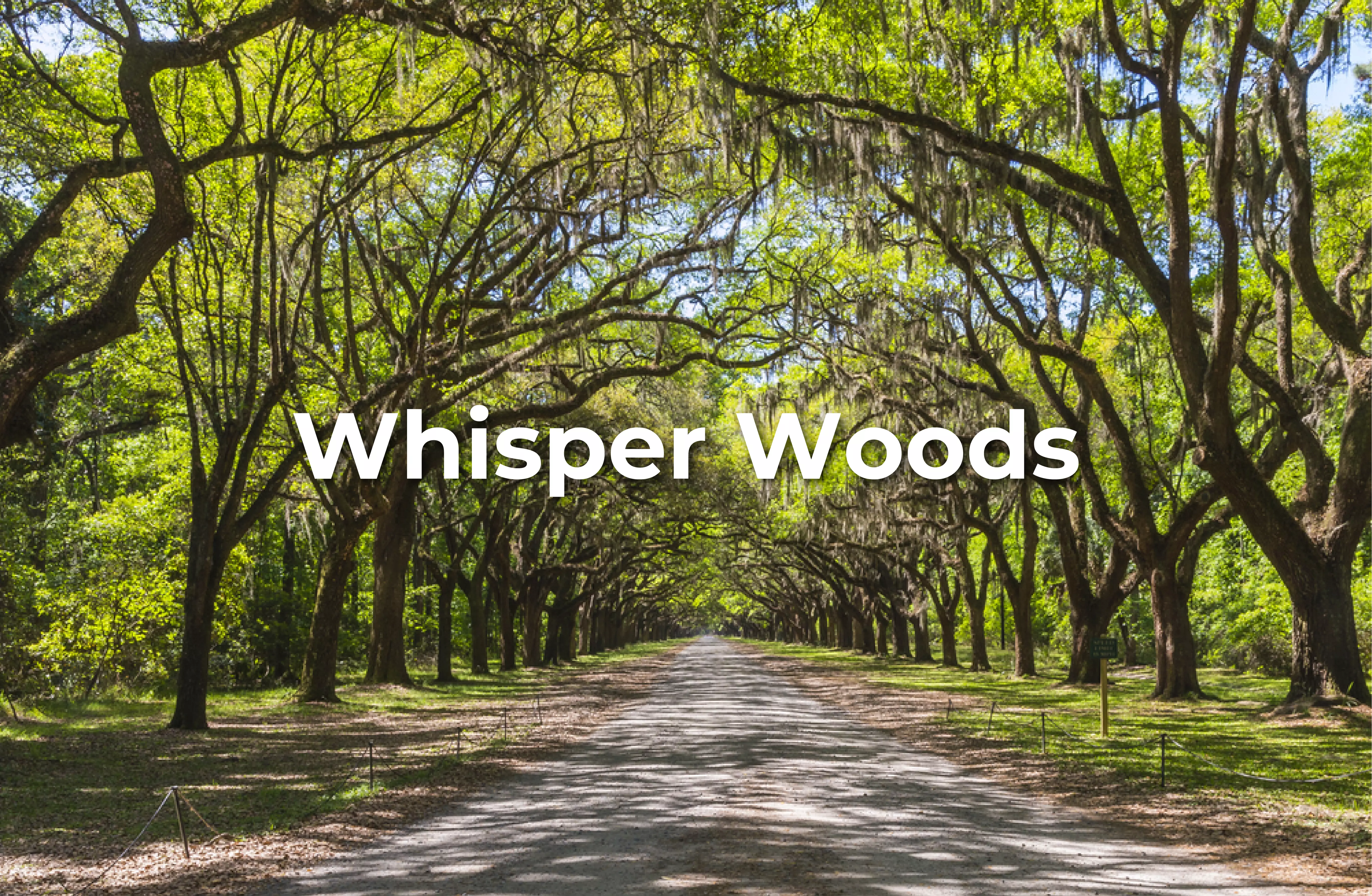 whisper_woods