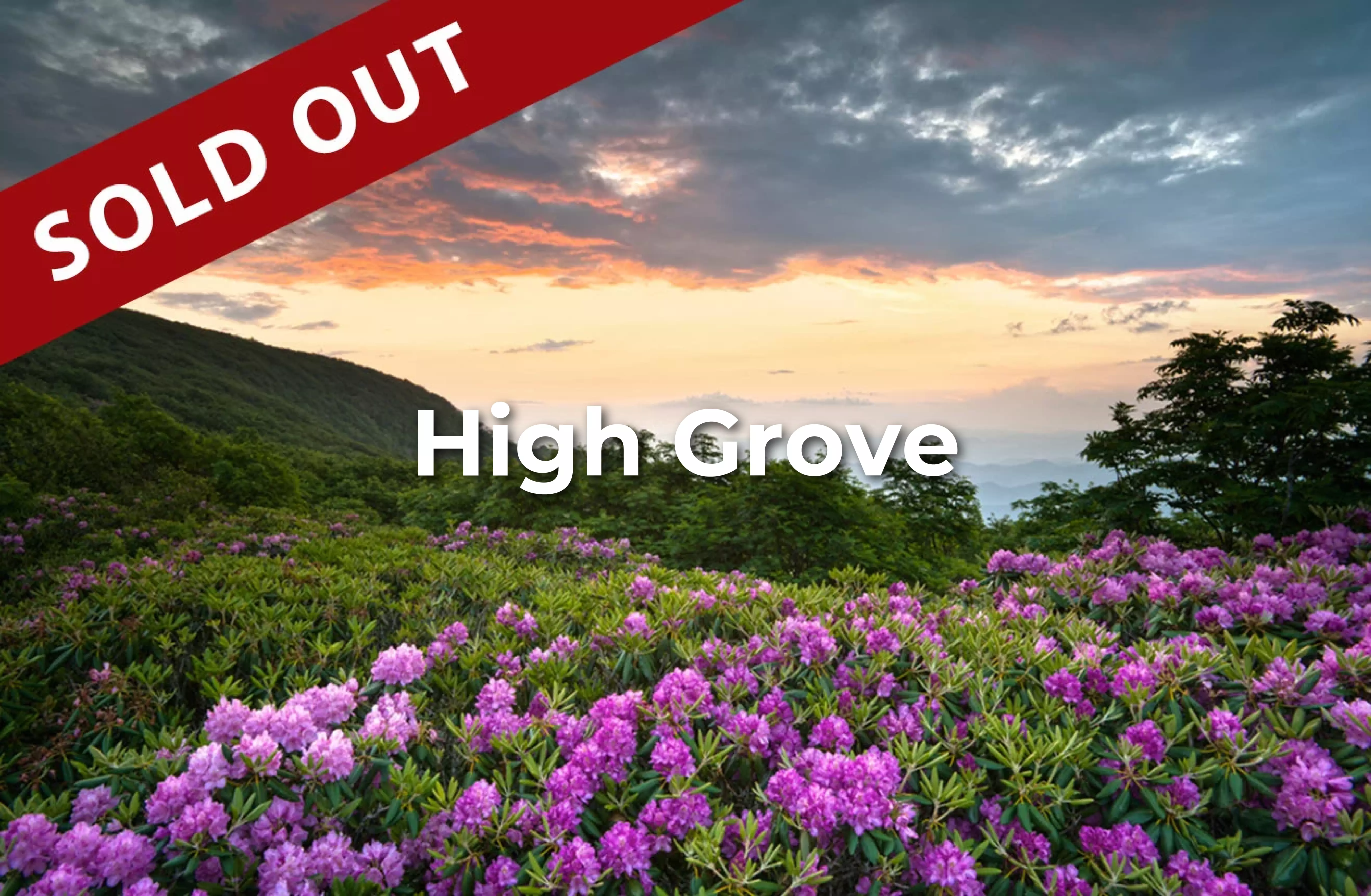 high_grove