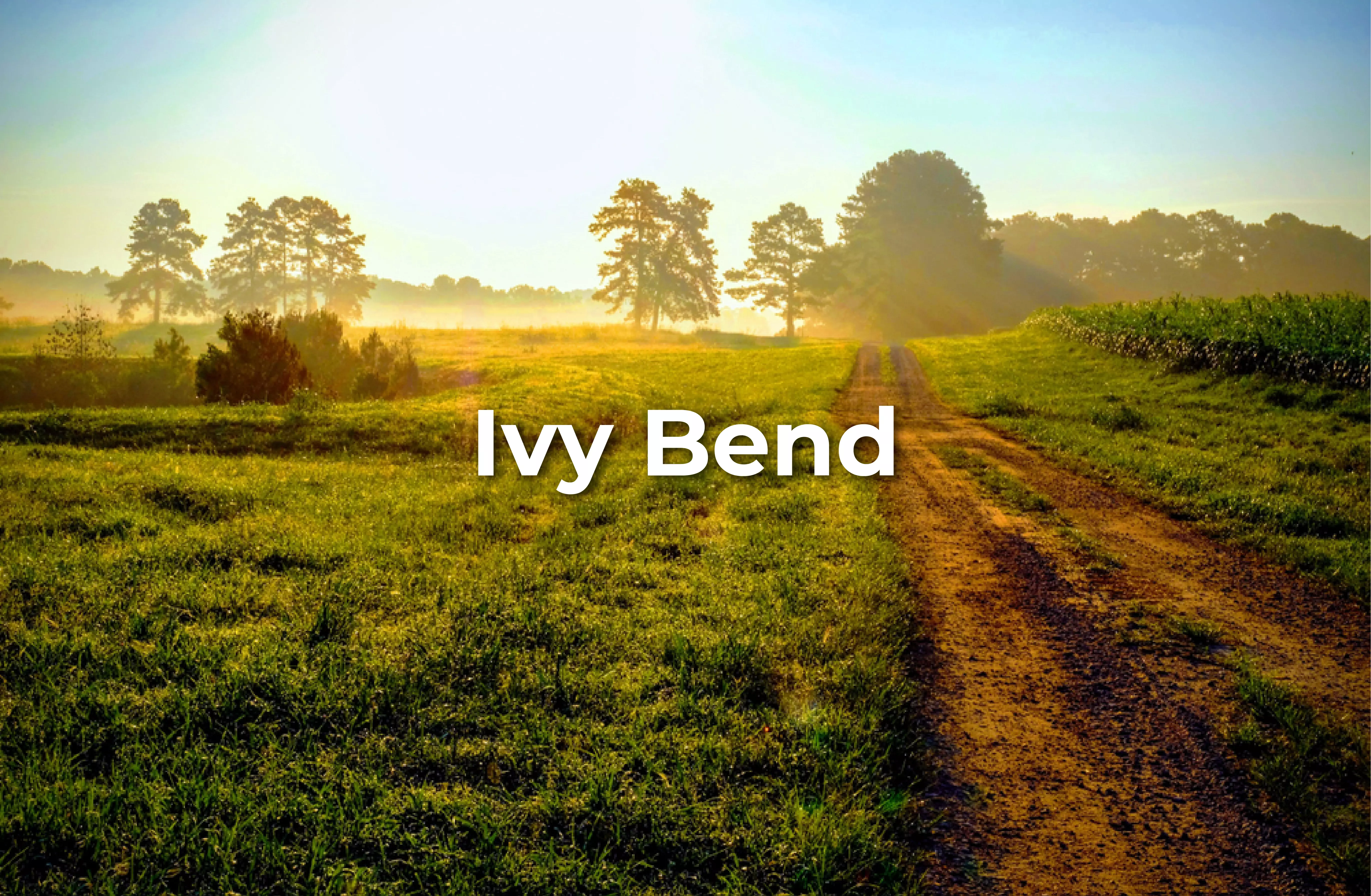 ivy_bend