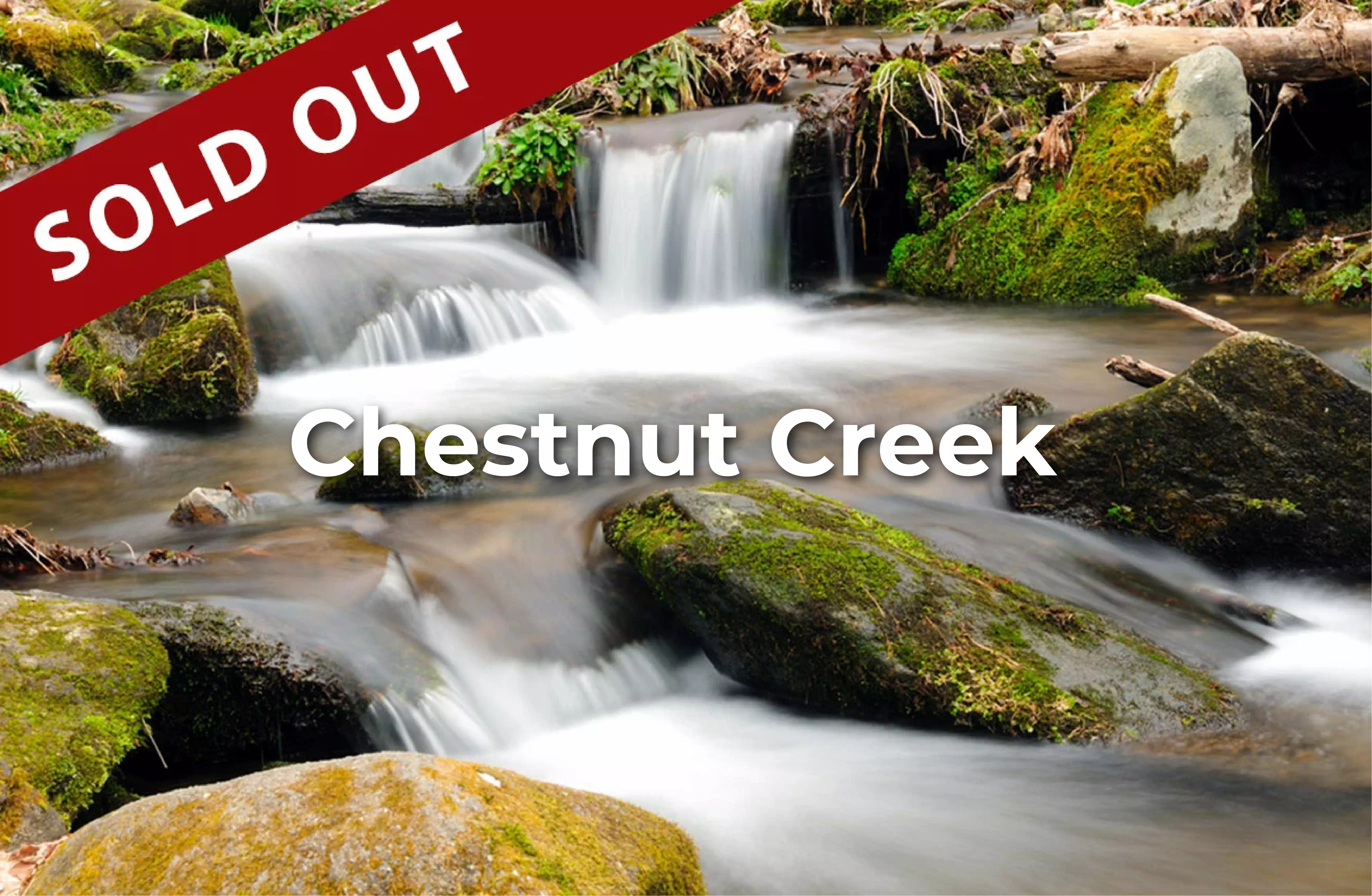 chestnut_creek