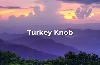 turkey_knob