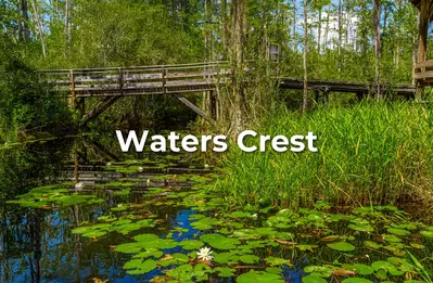 water_crest