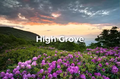 high_grove