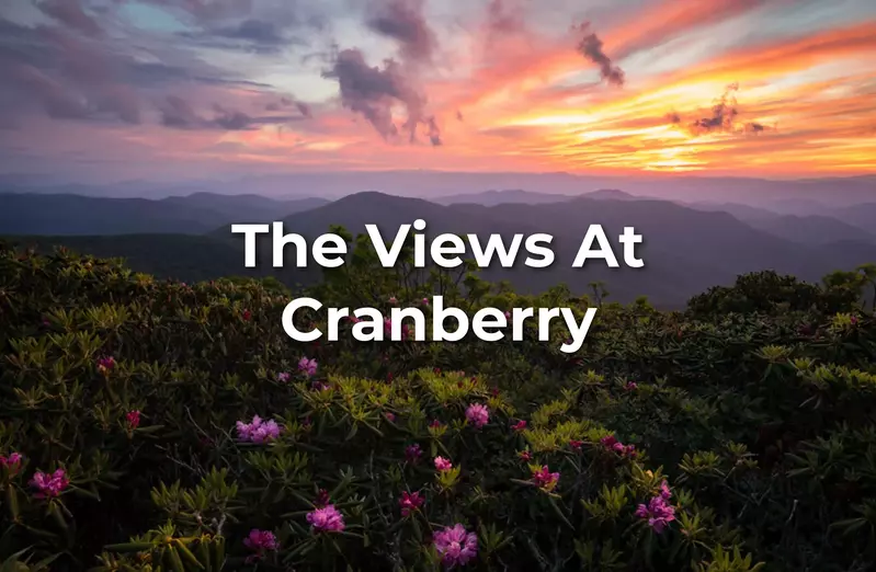 views_at_cranberry