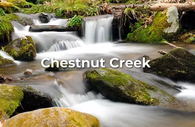 chestnut_creek