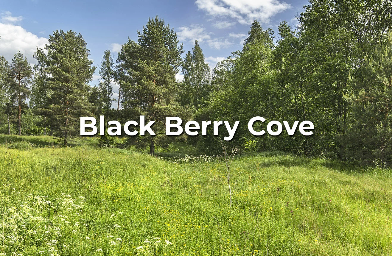 black-berry-cove