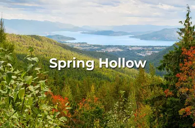 spring-hollow