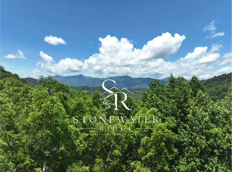 websitepic