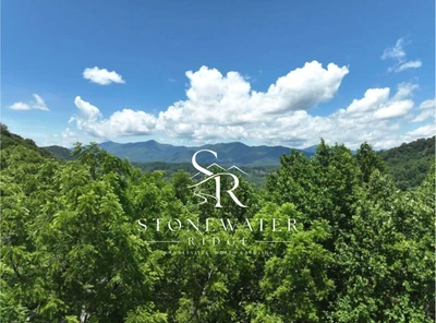 websitepic